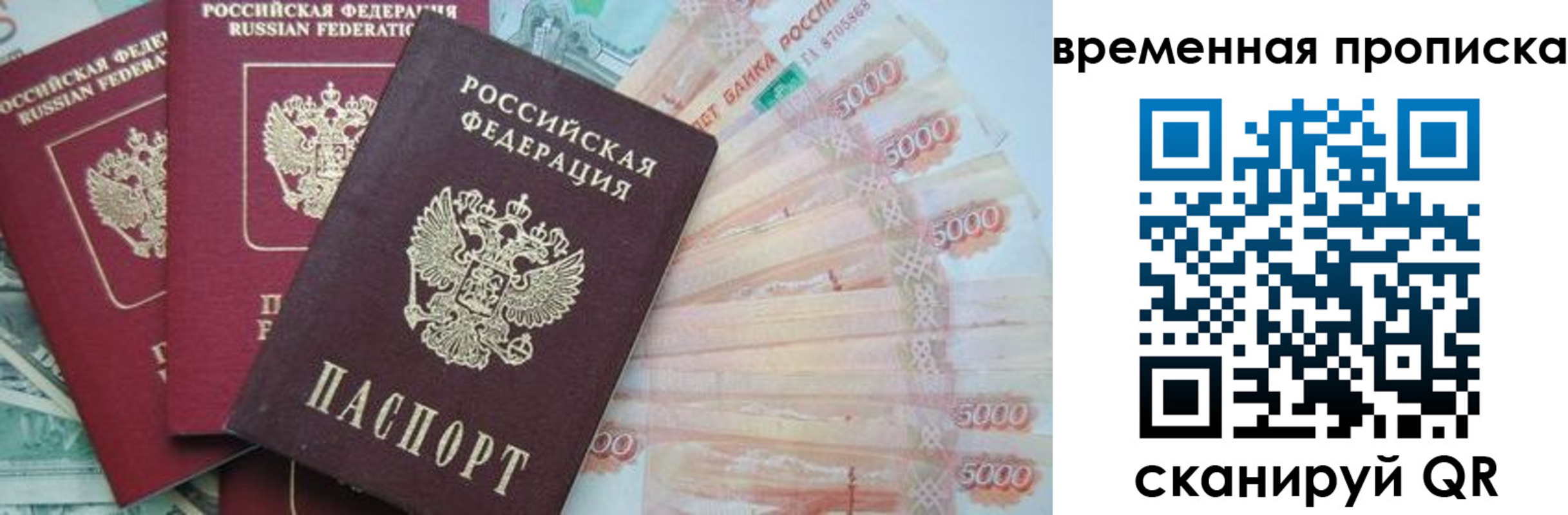 прописка поиск в Коломне